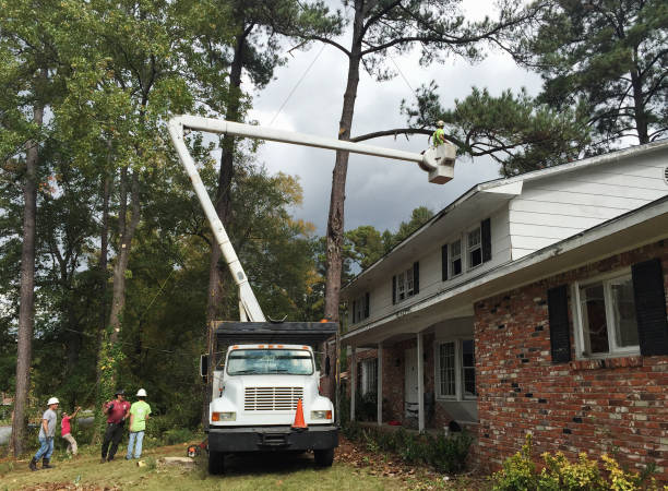 Leaf Removal in Oak Valley, NJ